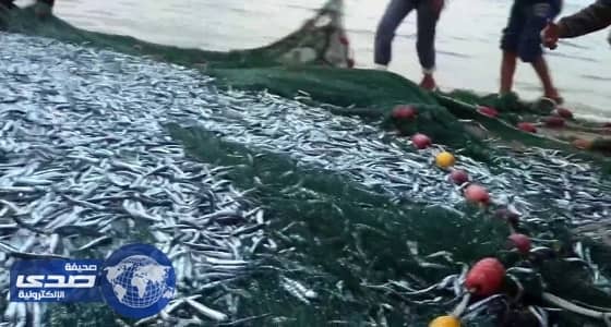 ⁠⁠⁠⁠⁠الزراعة تطور 16 مرفأ لصيد الأسماك