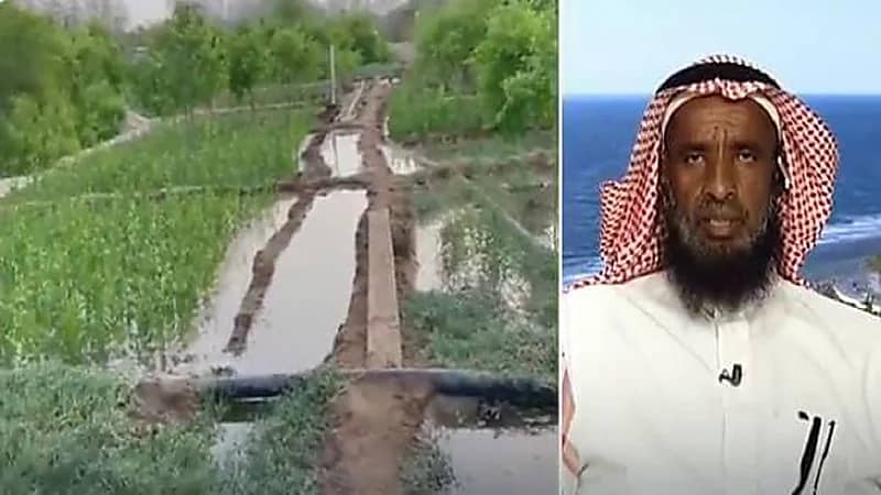 بالفيديو.. مواطن يحول مزرعته الجافة إلى واحة خضراء بمياه البحر المالحة