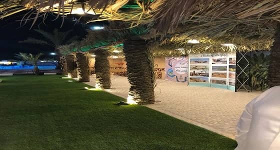 تشجير وسفلتة ونظافة.. جهود جبارة لـ" بلديات بيشة " في " مهرجان الصفري "