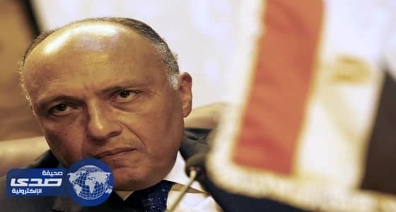 شكري: المنظومة التنموية للأمم المتحدة بحاجة لإصلاح حقيقي متطلبات الدول النامية