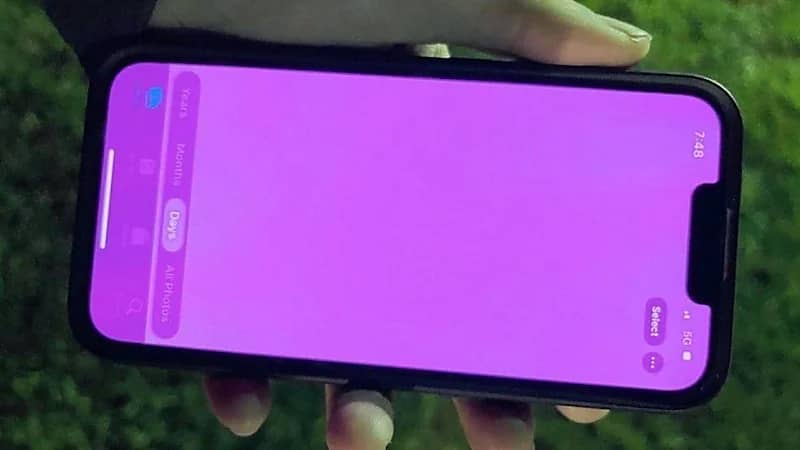 خلل تقني في أجهزة آيفون يتسبب بظهور شاشة وردية 