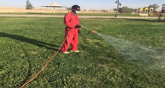 الشمالية تضع خطة لصيانة المسطحات الخضراء