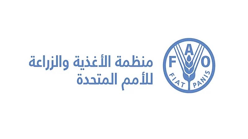 وظائف شاغرة لدى منظمة الأغذية والزراعة بالرياض