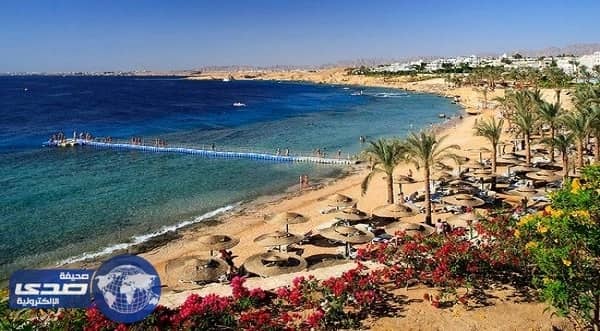 مدير مطار يرفع حمالة صدر راقصة لوضع 200 جنيه تحتها