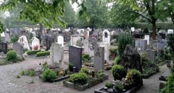 كلب يحرس قبر صاحبه لمدة 12عاما بعد وفاته