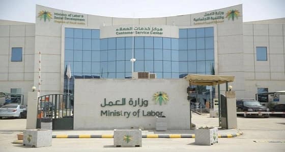 العمل تدعو للإبلاغ عن حالات استغلال الأطفال بغرض الكسب أو الشهرة