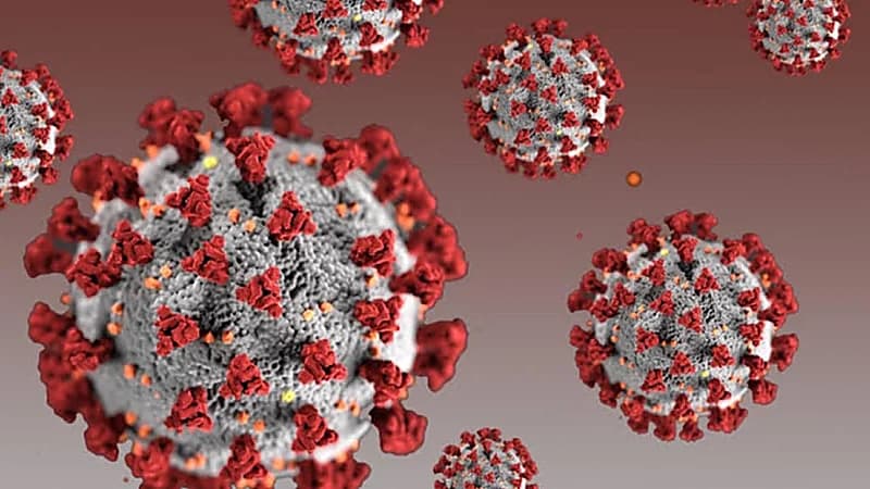 الكشف عن سبب جائحة كورونا