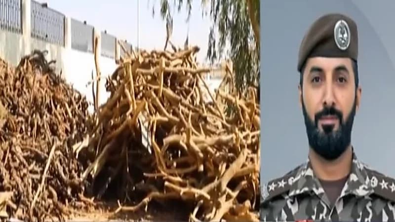 الكشف عن المناطق الممنوع فيها الاحتطاب الجائر "فيديو"