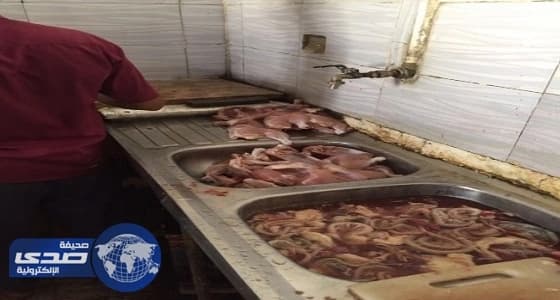 أمانة جدة تغلق مسلخاً مخالفاً للدواجن