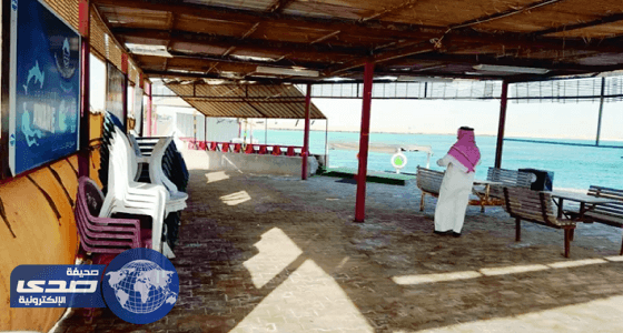 حرس الحدود يخاطب الإفتاء لوقف البحث عن معلم الشعيبة