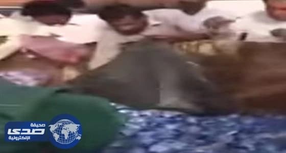 بالفيديو.. تجمهر المواطنين لأخذ قوارير مياه من حاوية نفايات بالدمام