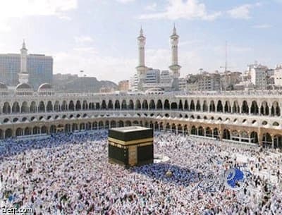 تسرب زيت أسفل طائرة المدينة يؤخر إقلاعها 90 دقيقة