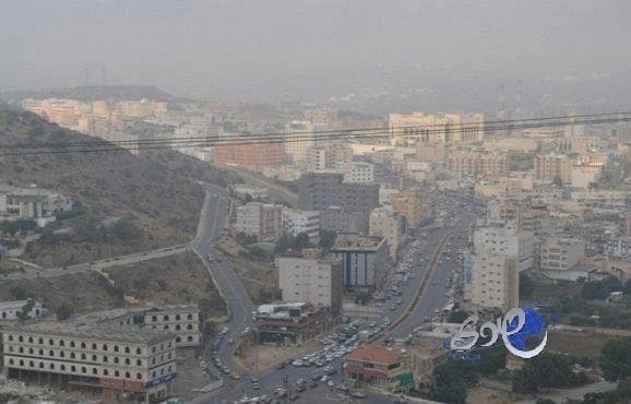 إلقاء القبض على 795 مخالفاً إفريقياً في الباحة