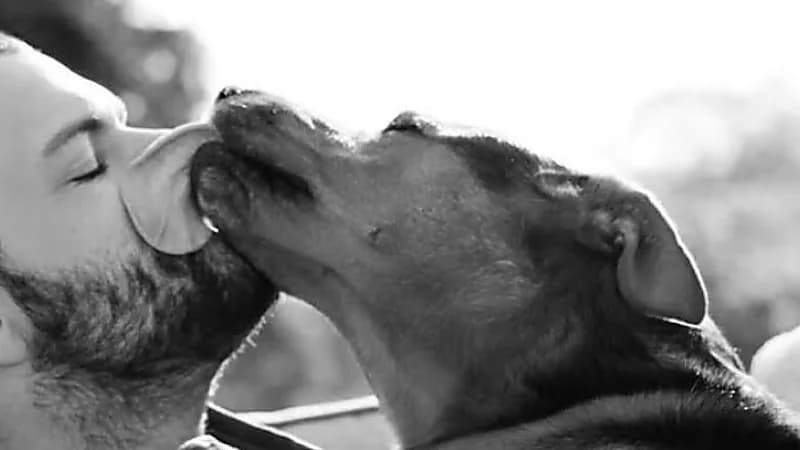 ظهور أول حالة لانتقال جدري القردة من إنسان إلى كلب