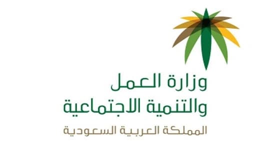 حقيقة توطين مهنة " مندوب مبيعات "