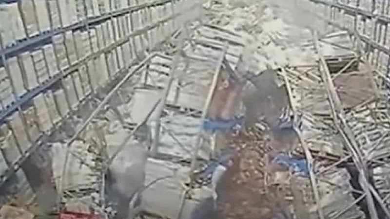 شاهد.. لحظة انهيار رفوف مستودع على عامل