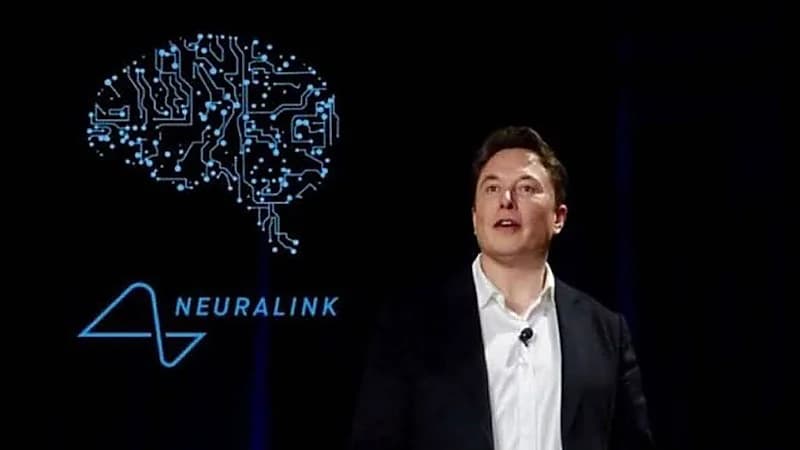 الدواء الأمريكية توافق على بدء التجارب السريرية لشريحة الدماغ على البشر