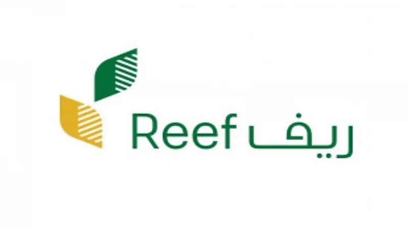 بالفيديو.. برنامج ريف: تبسيط شروط الحصول على الدعم المادي