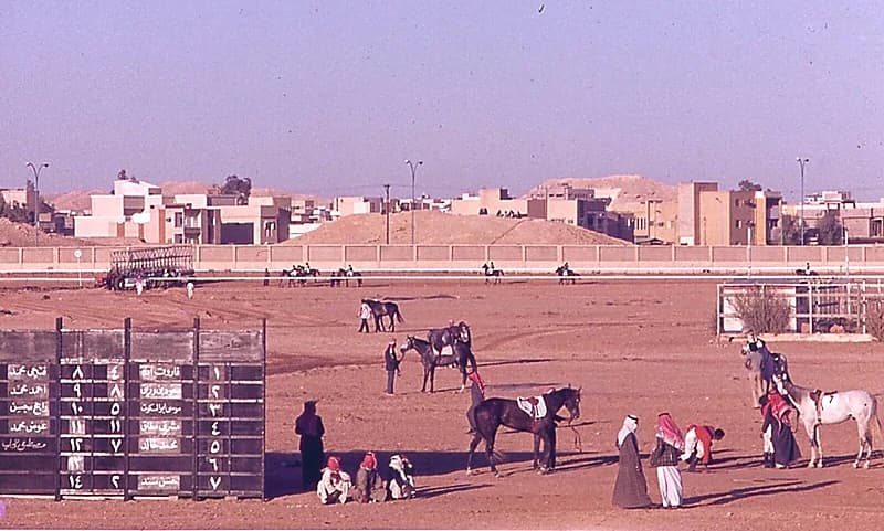 صورة نادرة من سباقات الخيل بالسبعينات الميلادية