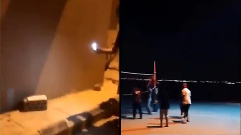 بالفيديو.. ثعبان يهاجم شبان أثناء لعبهم الكرة الطائرة