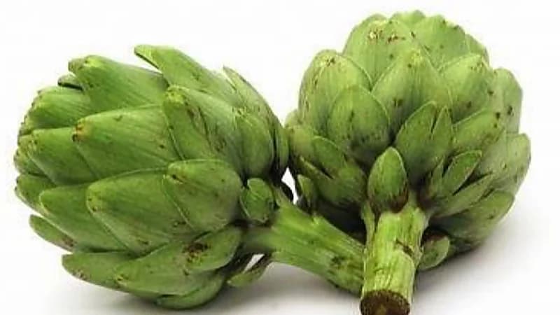 الفوائد الصحية للخرشوف أبرزها تعزيز الصحة الجنسية