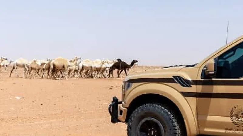 ضبط 22 مخالفًا لنظام البيئة لارتكابهم مخالفات رعي