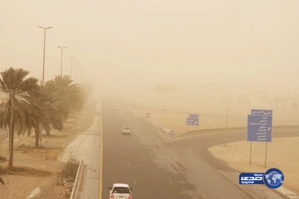 بالفيديو.. طفل يهاجم سيارة مواطنة لهذا السبب