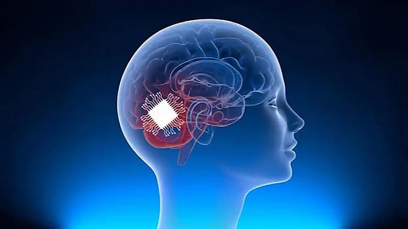 ماسك يعلن بدء تجارب شريحة المخ على البشر خلال 6 أشهر