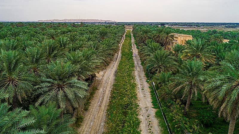 الأحساء ثاني أعلى درجة حرارة في العالم