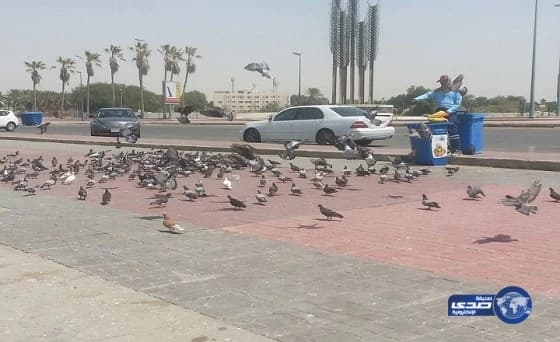 بالفيديو.. رد فعل صادم لشاب مريض سرقت زوجته هاتفه خلال علاجه بالمستشفى