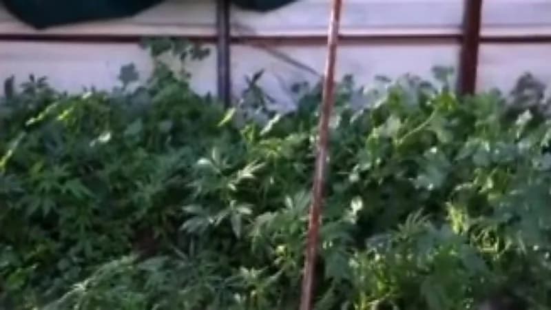 بالصور.. أمير جازان بالنيابة يؤدي صلاة الميت على الشهيد الجندي أول شبير