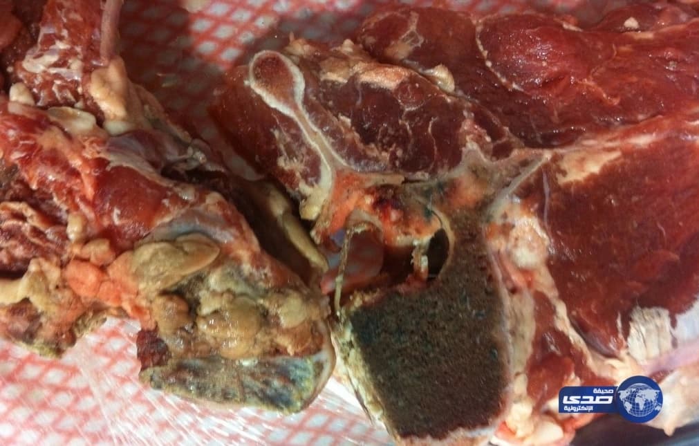 بالصور.. جمرك ميناء ضباء يحبط محاولة تهريب أكثر من 100 ألف حبة كبتاجون