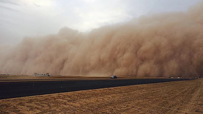"المسند": العواصف الرملية والرعدية متزامنة بنسبة 60% في فصل الربيع
