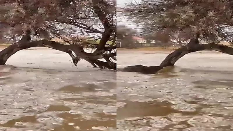 «فيديو» يظهر السيول والبرد في سوق عكاظ بالطائف
