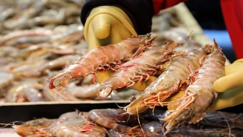 تهريب شحنة مخدرات بـ 40 مليون يورو في "الجمبري"