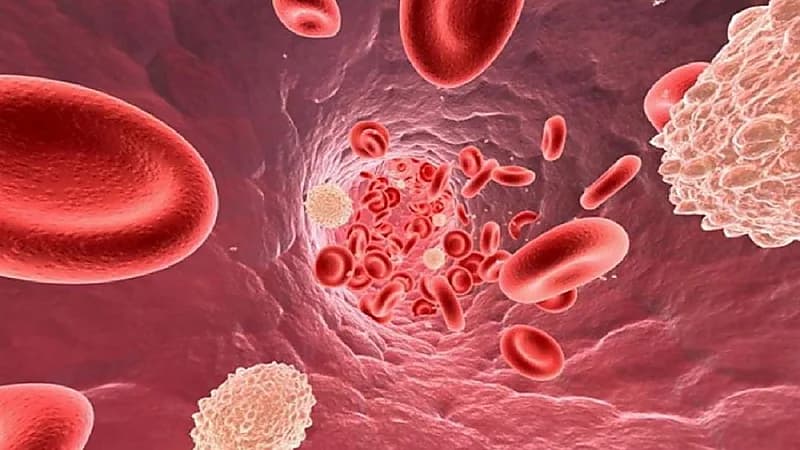 مدينة الملك فهد الطبية توضح ما هو "إنتان الدم" وأعراضه وطرق علاجه