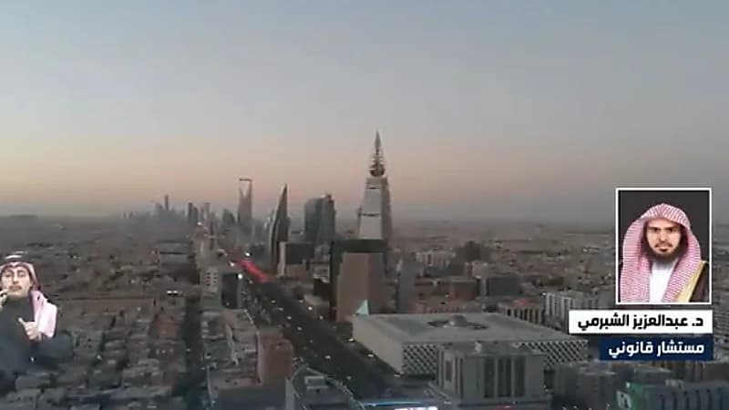 مستشار قانوني: الفزعة ومساعدة المعارف من أسباب زيادة جرائم الفساد (فيديو)