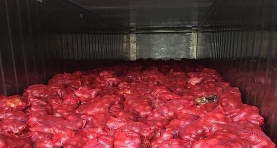 ضبط شاحنة بحمولة 15 ألف كيس بصل غير صالح للاستهلاك الآدمي بالدمام