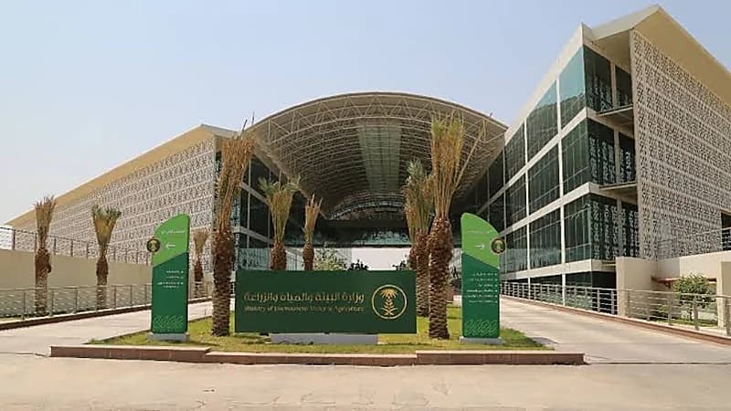 اعتماد إنشاء 4 شركات متخصصة في إدارة النفايات والمخلفات