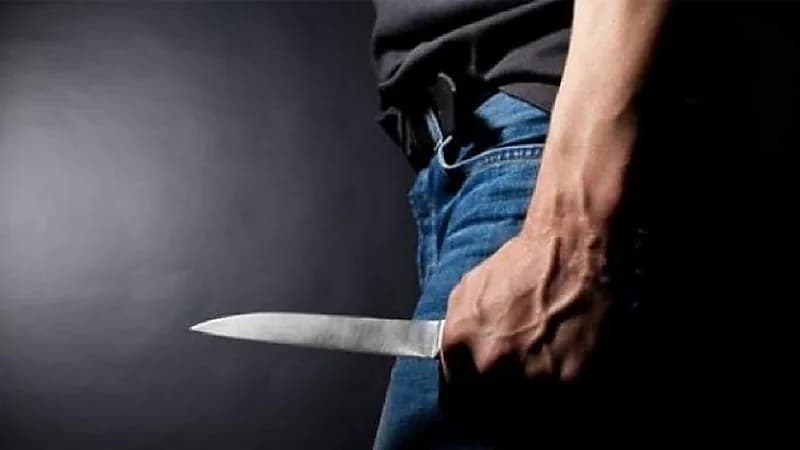 شاب يطعن والده 20 مرة لتخليص جسده من " حيوان زاحف "