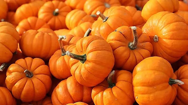 مكون واحد يكمن فيه السر للوقاية من اليوريا والكوليسترول والسكر والدهون الثلاثية