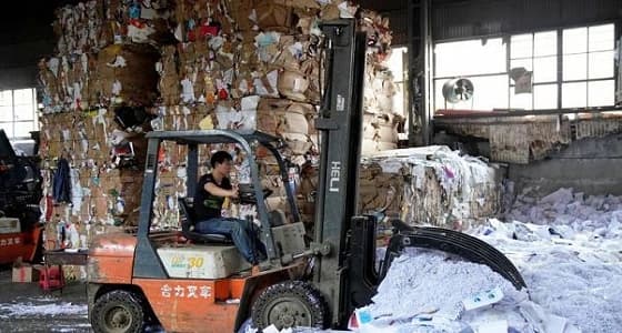 " العزاب " يثير غضب نشطاء البيئة في الصين