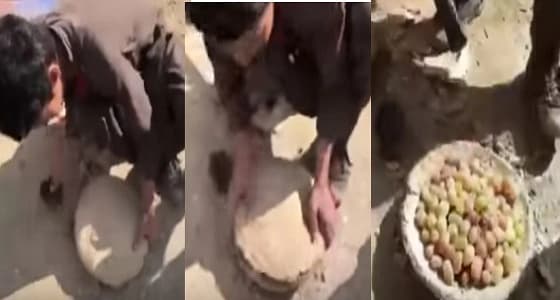 بالفيديو.. أبسط طريقة لإبقاء العنب طازجا لـ6 أشهر