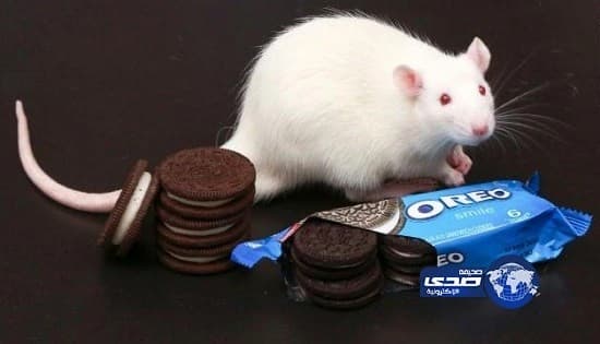 بالفيديو.. دوامة ضخمة تٌثير الذعر بين المواطنين في اليونان