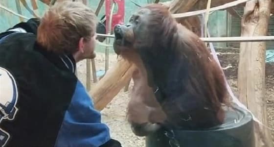 بالفيديو.. إنسان الغاب يقلد شابا ويمنحه قبله