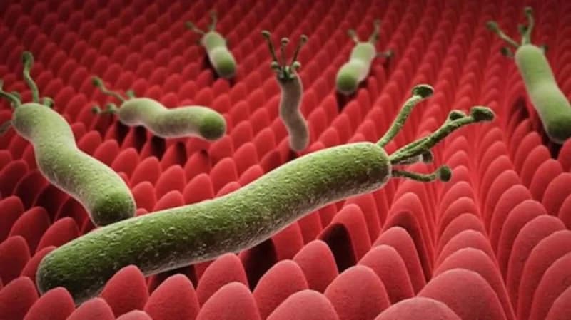 "الذيابي": أكل الثوم والحبة السوداء لا يؤثر على تحليل جرثومة المعدة