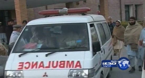 بالفيديو.. تمساح يلتهم جثة ضحية تحطم طائرة