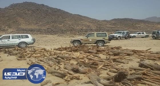 زراعة بدر تصادر كميات كبيرة من الحطب الأخضر