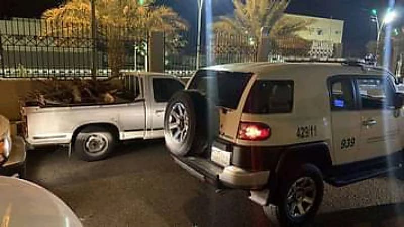 دوريات "الغطاء النباتي" تسترد كميات من الحطب المحلي بالقويعية