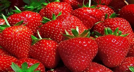 فوائد عديدة للفراولة من ضمنها " تبييض الأسنان " ومقاومة التجاعيد